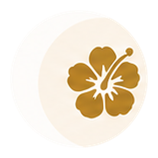 Gold hibiscus flower icon representing Hawaii.