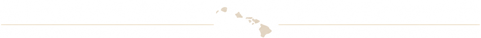 Decorative Hawaii map divider with horizontal lines